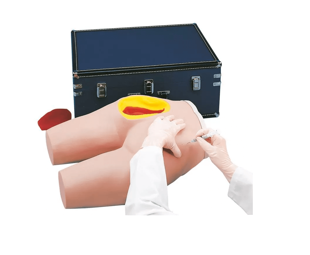 Simulator für intramuskuläre Injektionen - Erler - Zimmer